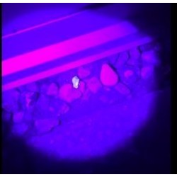 Ravlygte - Stor 100 LED - 18W